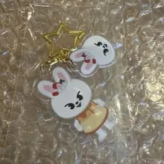 アクリルキーホルダー リービット