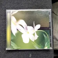 omoinotake CD
