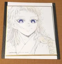 鬼滅の刃 柱稽古ダイニング ランダム複製ミニ色紙A17 時透無一郎