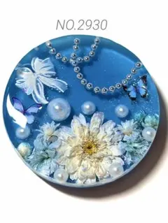 NO.2930蒼花の美˚⁎⁺˳✧༚ドライフラワー　レジンヘアゴム　ブローチ