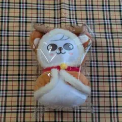 2026年最新】puppym ぬいぐるみの人気アイテム - メルカリ
