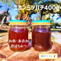群違い】ニホンミツバチの国産百花蜜400g×2本 非加熱無添加天然 
