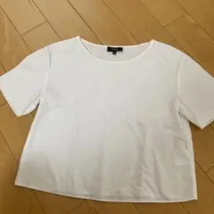 シンプル白tシャツ