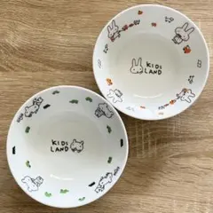 Item thumbnail for item 9a325e74-f2ed-4700-a159-2e55c2e5e307