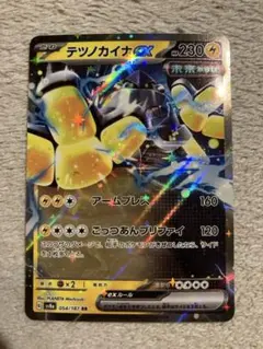 テツノカイナ　ex RR