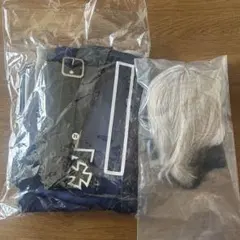 APH 普　コスプレ衣装 Mサイズ ウィッグ付き セットのサムネイル
