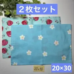 ２枚組★小さめランチョンマット★給食ナフキン★ブルー系お花＆イチゴ