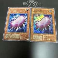 遊戯王 進化の蕾 2枚セット