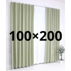 LIFELEX　防炎＋遮光カーテン　セリーン100×200cm　2枚組グリーン