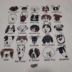 FREAK'S STORE×SCREEN STARS ドッグ スターズ ロンT