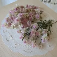 mayu様 リクエスト 2点 まとめ商品