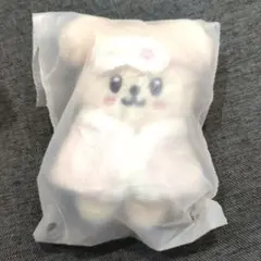 Stray kids スキズ ペンミ 10cm ぬいぐるみ スンミン パピム