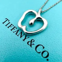 美品✨Tiffany エルサ・ペレッティ アップルブローチ シルバー925