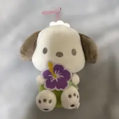 ポチャッコ ぬいぐるみ ハイビスカス マスコット