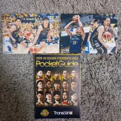 宇都宮ブレックス　BREX 石川＆星川、渡邉＆エドワーズ　トレカ計2枚、ガイド