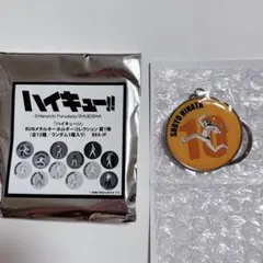 ハイキュー‼︎ RUN メタルキーホルダーコレクション 日向翔陽 ①