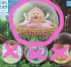 こびとづかん カプリウムコレクション カクレモモジリ