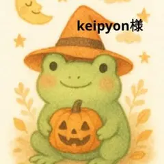 keipyon様 リクエスト 2点 まとめ商品
