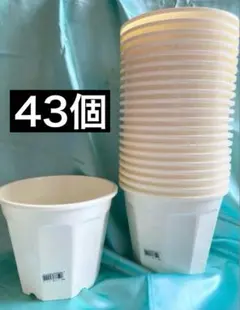 そうさん様専用 中古 プラ鉢166個+75個 A-25 ミニラン鉢等 まとめ売り