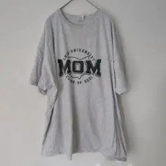 ジャージーズ カレッジロゴ クルーネック 半袖 Tシャツ 霜降 2XL 灰色 綿のサムネイル
