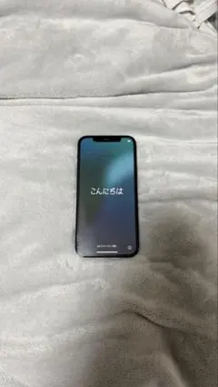 Apple iPhone 12Pro SIMフリー