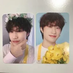 イェダム　トレカ