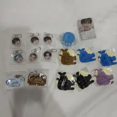 【まとめ売り】OWV 佐野文哉 ツアーグッズ 15点セット まとめ売り】OWV 佐野文哉 ツアーグッズ 15点セット - メルカリ