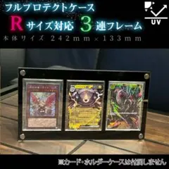 らーこぺ様専用　3連アクリルフレーム黒色タイプ2セット　雄ねじ4個追加