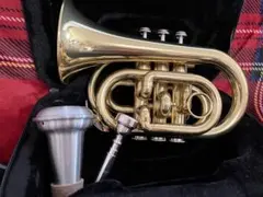 Item thumbnail for item 0869a827-9fb5-41e6-9413-1a96f1ef3a80