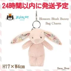 廃盤 新品 ジェリーキャット バニー うさぎ キーホルダー チャーム