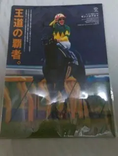 ヒーロー列伝 クリアファイル メイショウマンボ Yahoo!オークション - JRA ヒーロー列伝 クリアファイル