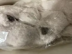 ジェラートピケ ポケモン