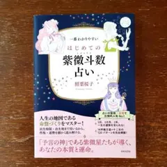 2026年最新】紫微斗数占い入門 生まれてきた意味がわかるの人気