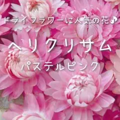 tomato♡様 リクエスト 3点 まとめ商品