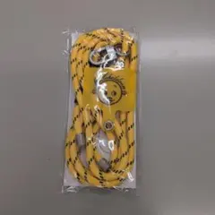 Mr.Children FATHER & MOTHER ネックストラップ