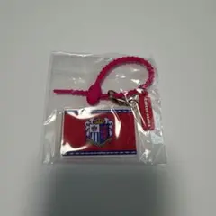 セレッソ大阪 フラッグ キーホルダー　チャーム　ガチャ