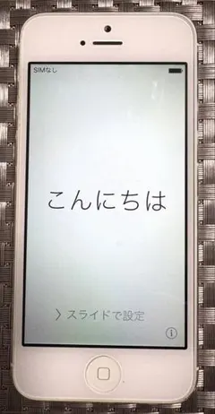 Apple iPhone5 本体のみ (初期化済み)