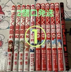 Item thumbnail for item 2ab99222-e893-4a5c-a073-d23104630651