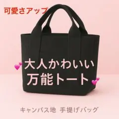 男女兼用♪ 収納多めの万能キャンバスバッグ　 ブラック　ミニトート♡