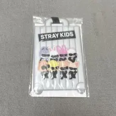 StrayKids 国立 RUN IT アプグレ ラゲッジタグ
