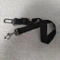 Item thumbnail for item 0aba2f94-dd15-40bf-9b9e-4ea57b99d321