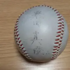 PL学園寄せ書きサイン　清原選手・桑田選手のサイン入(第65回高校野球大会記念) PL学園寄せ書きサイン 清原選手・桑田選手のサイン入(第65回高校