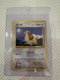 2026年最新】Pokemon Card Game カード名：ポッポ ポケモンカード