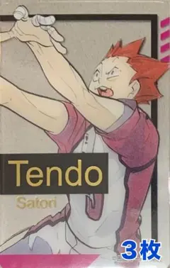 ☆ ハイキュー!!　ファンパーク　箔押しクリアカード　天童覚