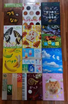 Item thumbnail for item 0d9153cb-000b-4a10-a6e2-44a1ed74f595