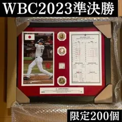 2026年最新】フォトミント wbcの人気アイテム - メルカリ