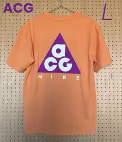 【新品】NIKE ACG マックス90Tシャツ　Lサイズ　ビックロゴのサムネイル