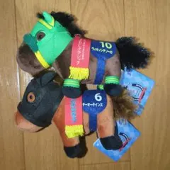 サラブレッドコレクション　ウィルソンテソーロ　テーオーケインズ