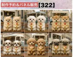 322番各1枚