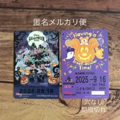ディズニー リゾートラインフリーきっぷ ハロウィン 期限切れ